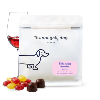Ethiopia HAMBELA - The naughty dog