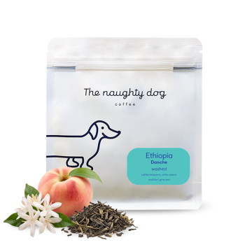 Ethiopia DANCHE - The naughty dog