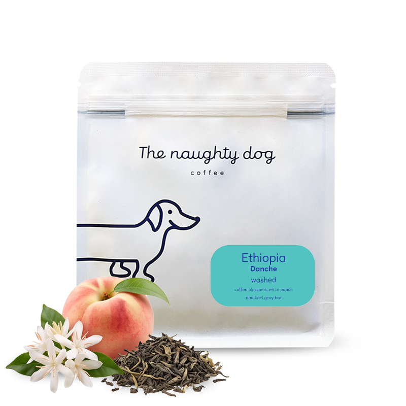Specialty coffee The naughty dog Ethiopia DANCHE