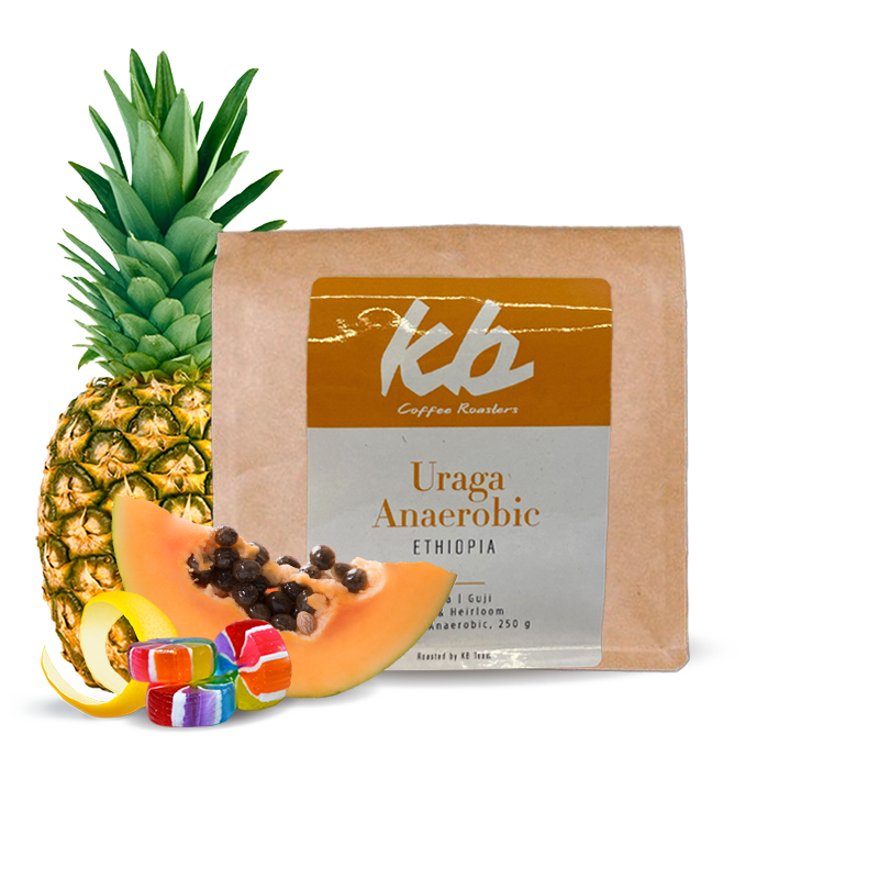 Specialty coffee KB Coffee roasters Ethiopia URAGA ANAEROBIC