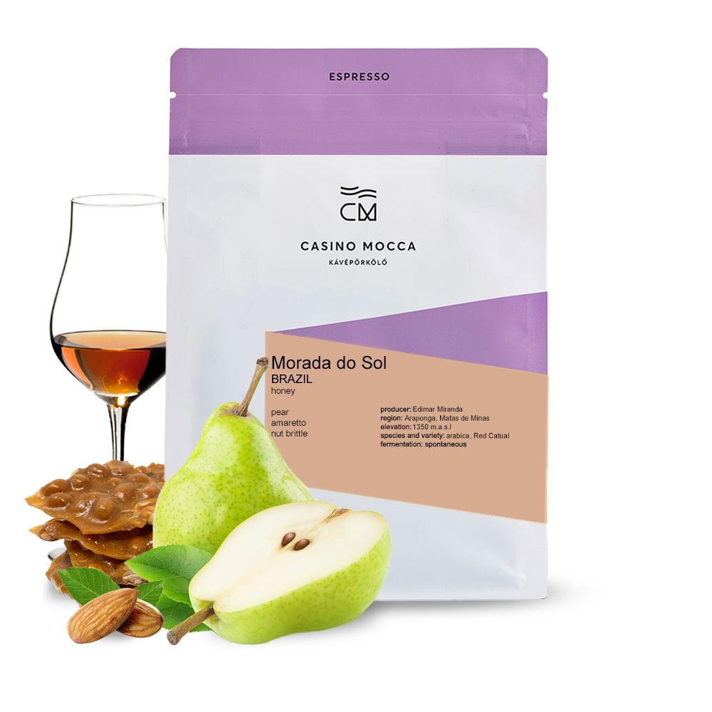 Specialty coffee Casino Mocca Brazil MORADA DO SOL