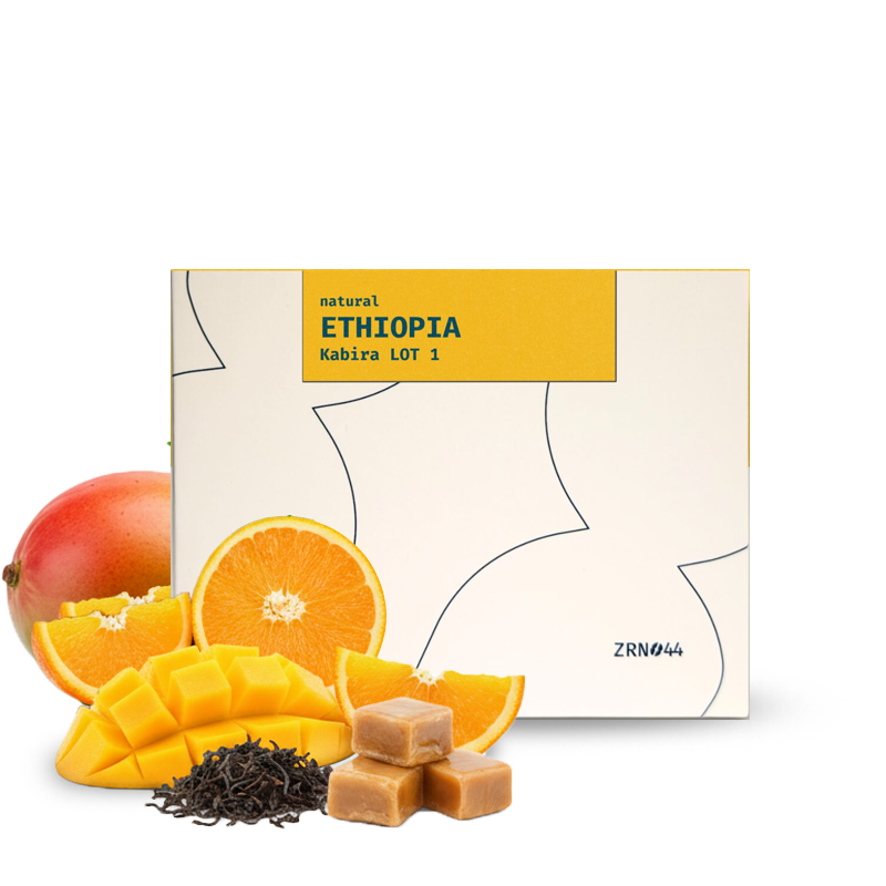 Specialty coffee Zrno44 Ethiopia KABIRA