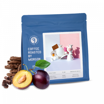 Costa Rica MONTERO FAMILY - 1000g - espresso - Morgon Coffee Roasters