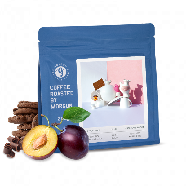 Specialty coffee Morgon Coffee Roasters Costa Rica MONTERO FAMILY - 1000g - espresso
