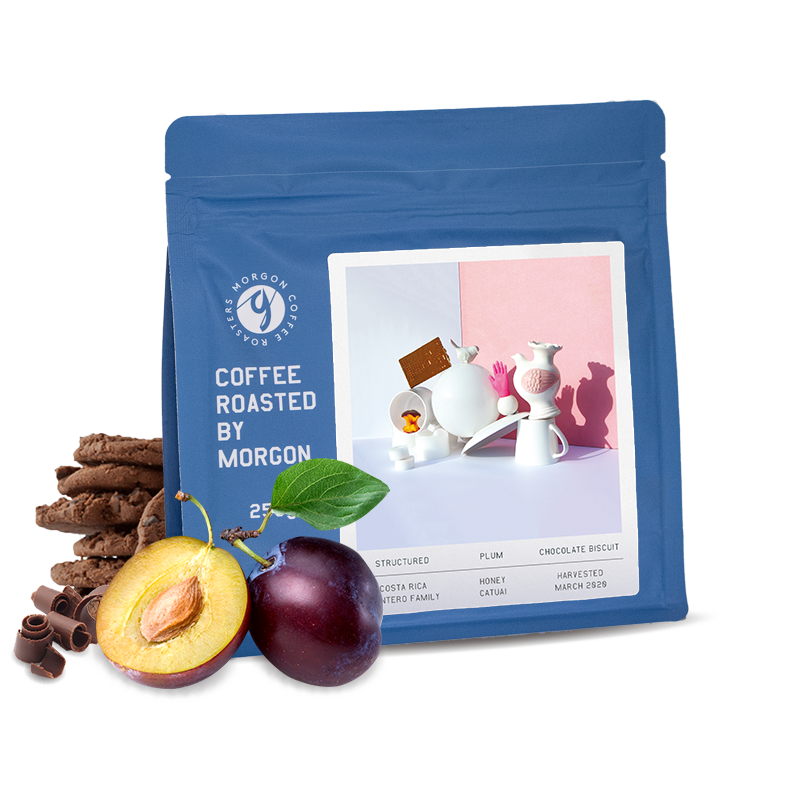 Specialty coffee Morgon Coffee Roasters Costa Rica MONTERO FAMILY - 1000g - espresso