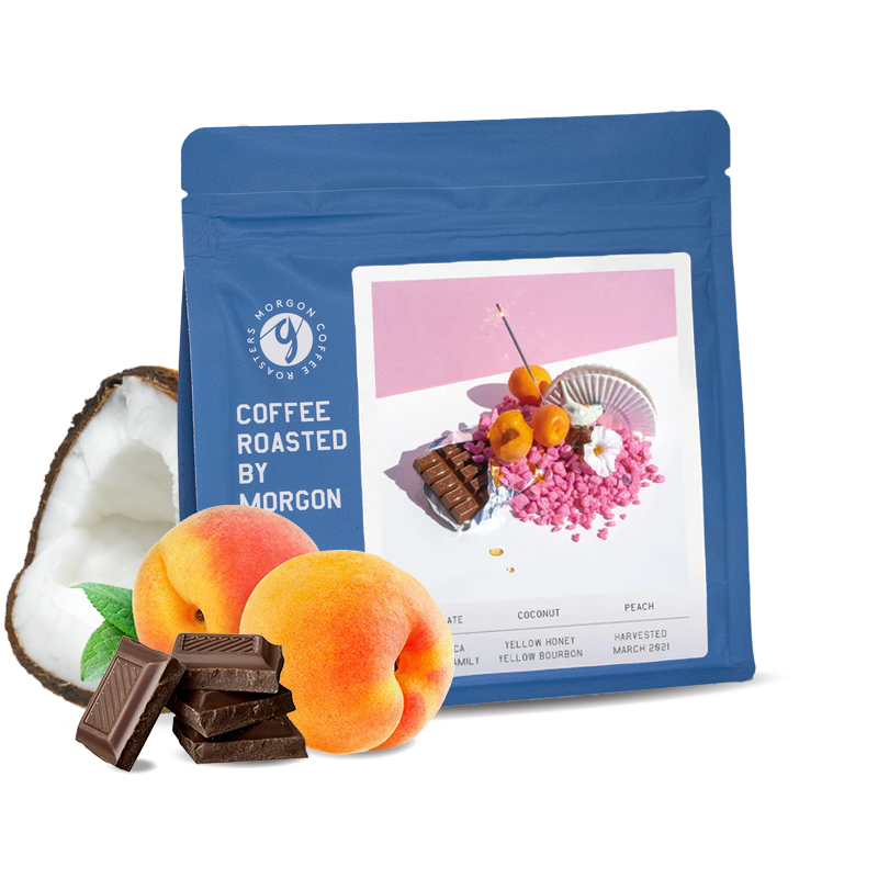 Specialty coffee Morgon Coffee Roasters Costa Rica MONTERO FAMILY 3/25