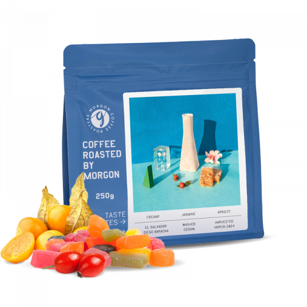 Specialty coffee Morgon Coffee Roasters El Salvador DIEGO BARAONA - geisha