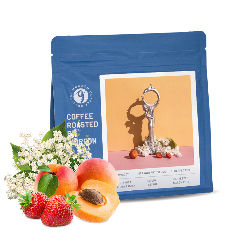Specialty coffee Morgon Coffee Roasters Kostarika MONTERO FAMILY - geisha