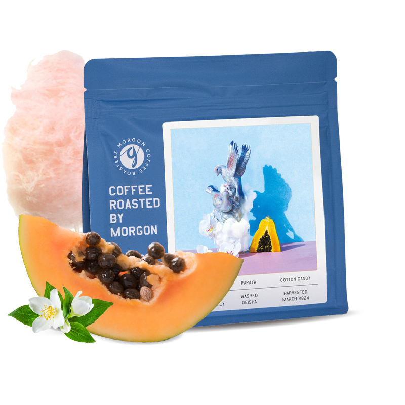 Specialty coffee Morgon Coffee Roasters Kostarika MONTERO FAMILY - washed geisha