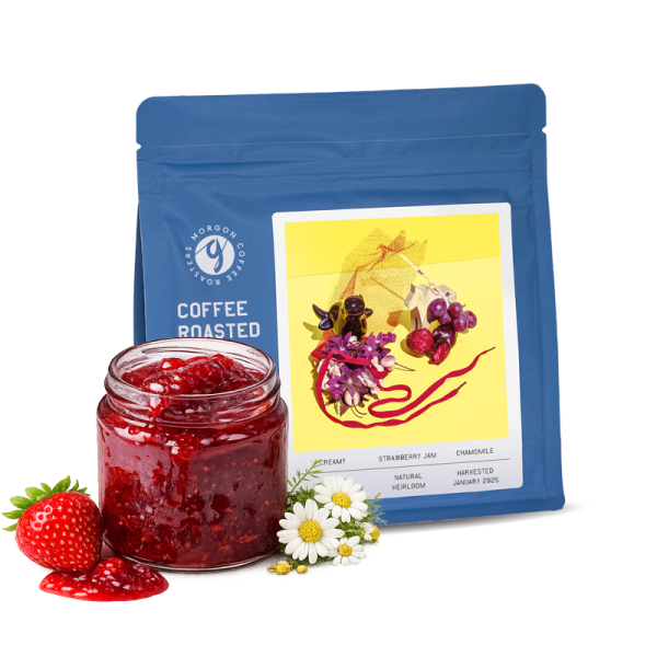 Specialty coffee Morgon Coffee Roasters Ethiopia WACHILE GARSE