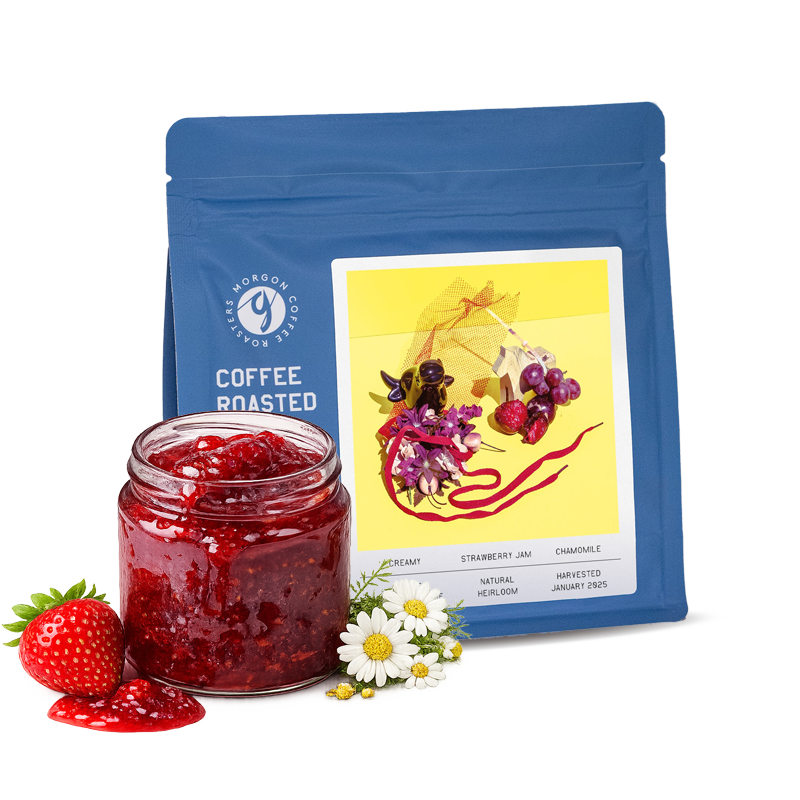 Specialty coffee Morgon Coffee Roasters Ethiopia WACHILE GARSE