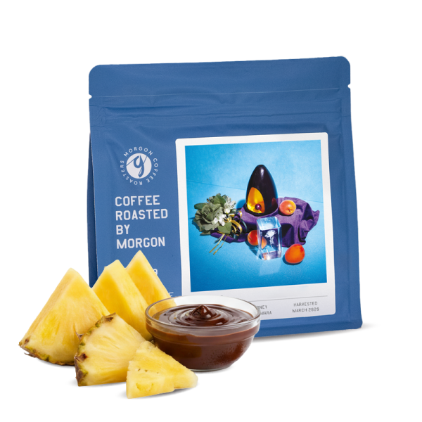 Specialty coffee Morgon Coffee Roasters El Salvador DIEGO BARAONA
