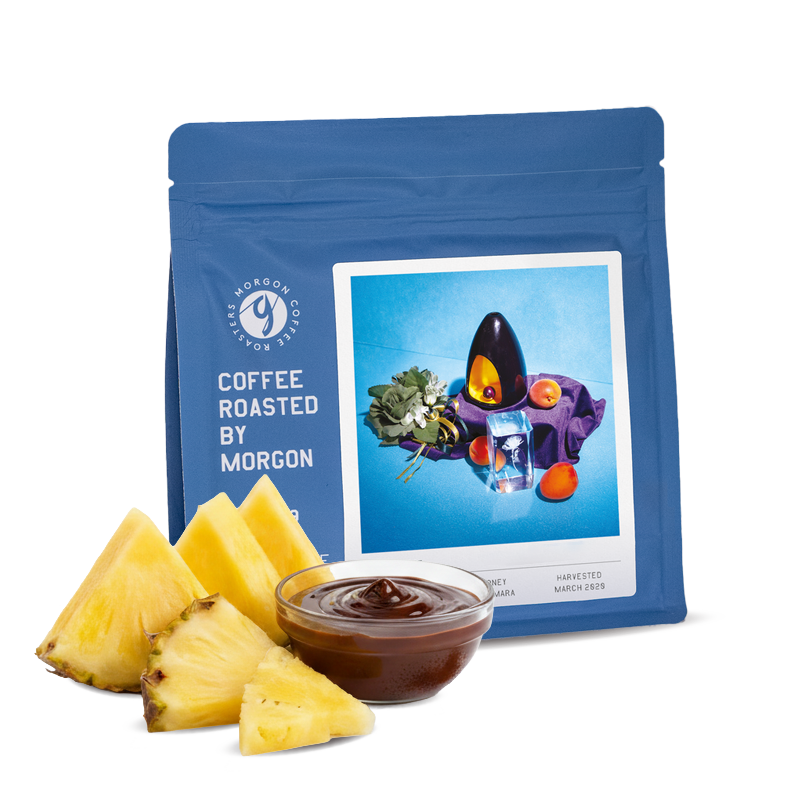 Specialty coffee Morgon Coffee Roasters El Salvador DIEGO BARAONA