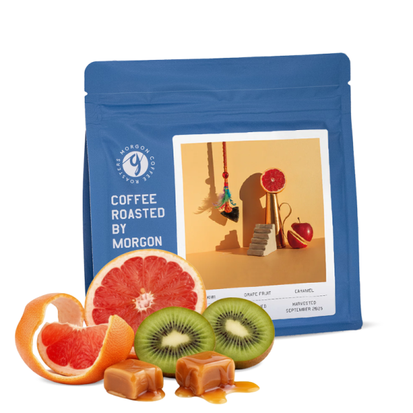 Specialty coffee Morgon Coffee Roasters Colombia WILMER GALINDEZ