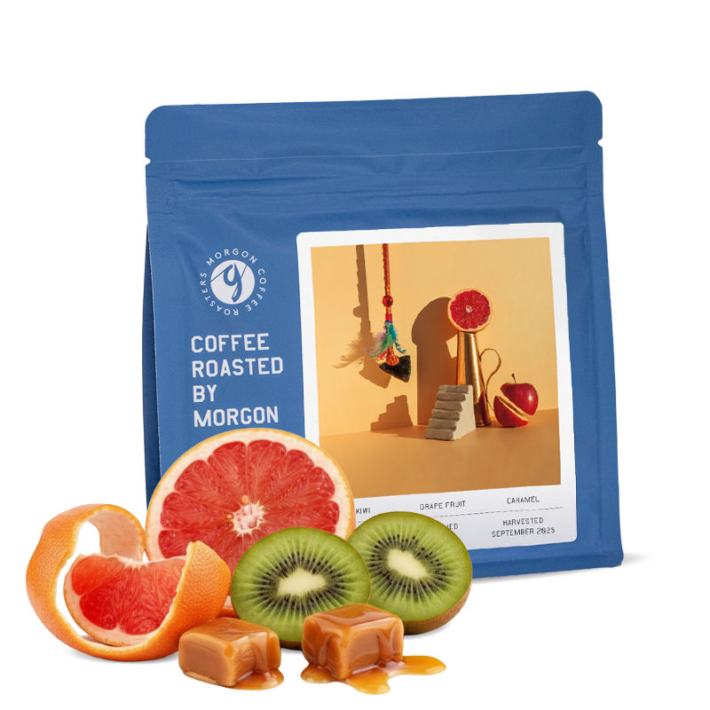 Specialty coffee Morgon Coffee Roasters Colombia WILMER GALINDEZ
