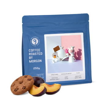 Costa Rica MONTERO FAMILY - Morgon Coffee Roasters