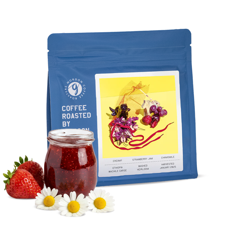 Specialty coffee Morgon Coffee Roasters Ethiopia WACHILE GARSE - espresso