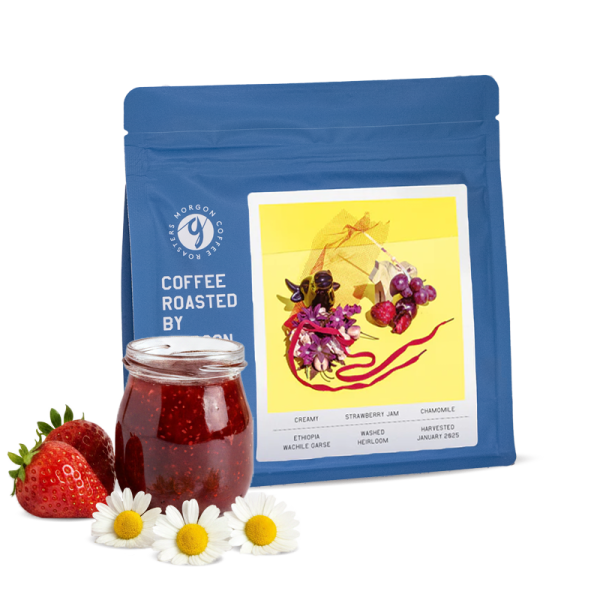 Specialty coffee Morgon Coffee Roasters Ethiopia WACHILE GARSE - espresso
