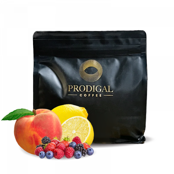 Specialty coffee Prodigal Coffee Ethiopia HAMASHA