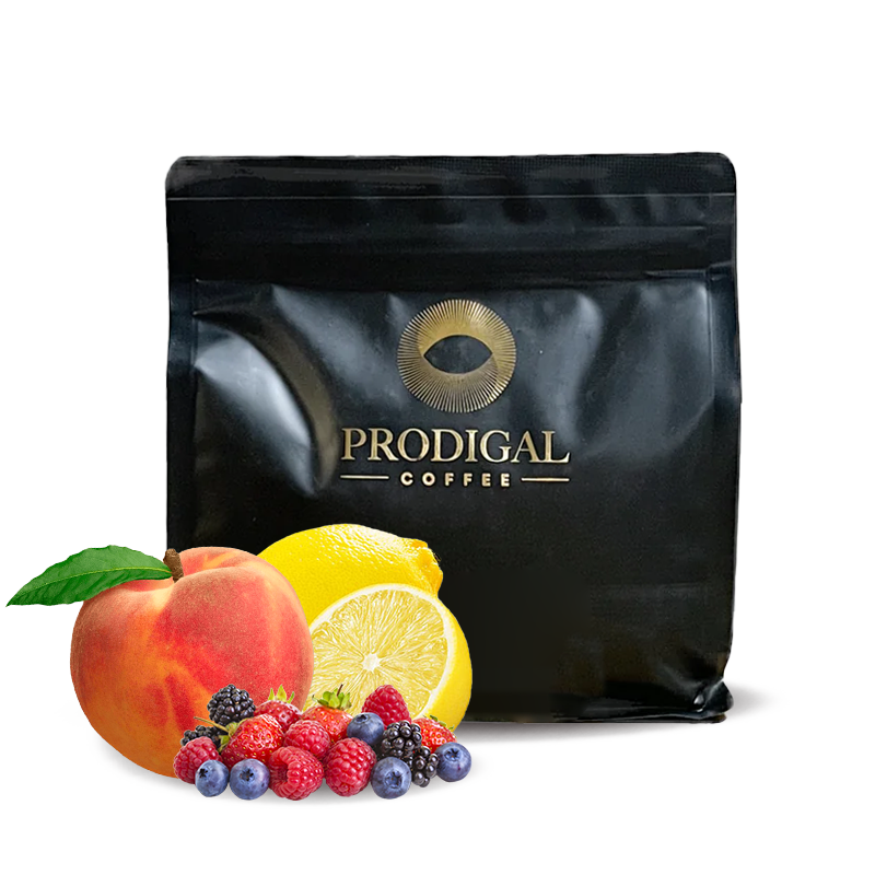 Specialty coffee Prodigal Coffee Ethiopia HAMASHA