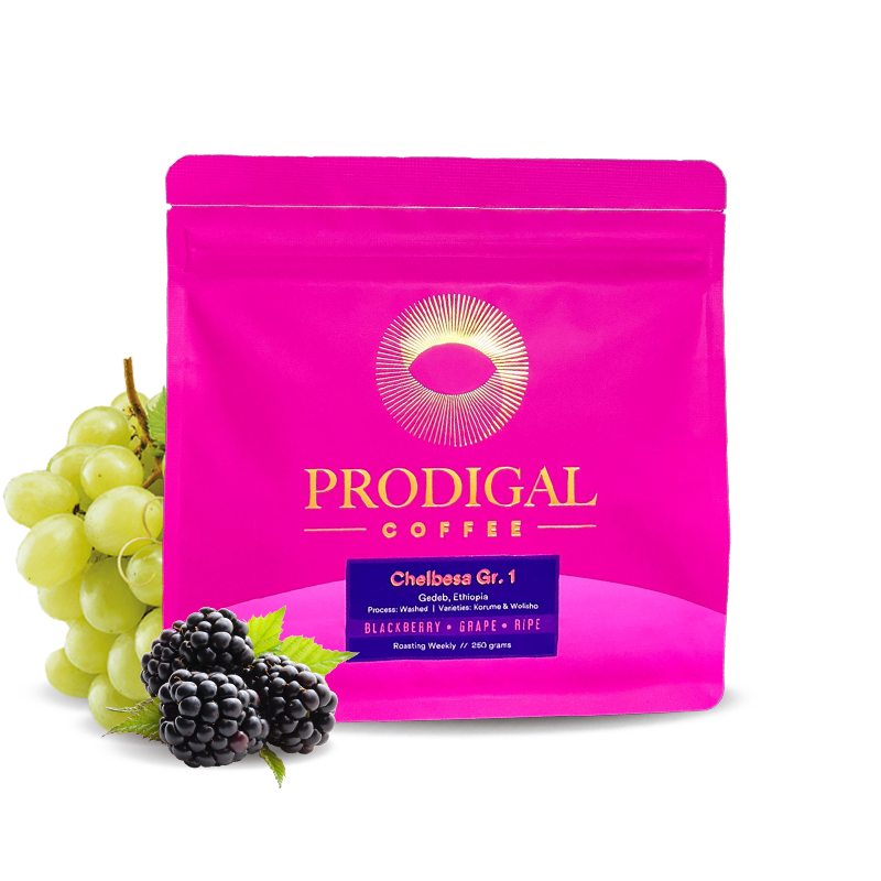 Specialty coffee Prodigal Coffee Etiopie CHELBESA GRADE 1