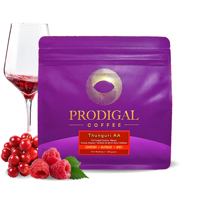 Specialty coffee Prodigal Coffee Kenya THUNGURI AA