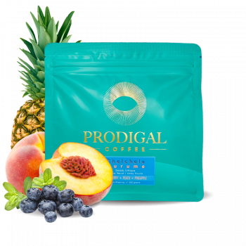 Ethiopia CURRENTS - Prodigal Coffee