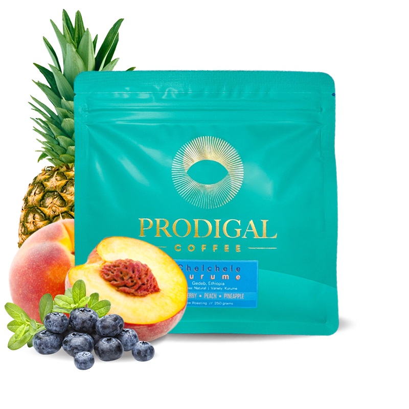 Specialty coffee Prodigal Coffee Ethiopia CURRENTS