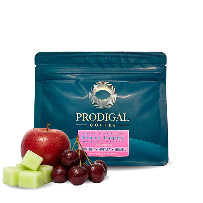 Specialty coffee Prodigal Coffee Costa Rica FINCA COPEY - Geisha - 150g