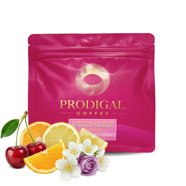 Specialty coffee Prodigal Coffee Guatemala GRANJA EL TEMPIXQUE - Cup of Excellence #7