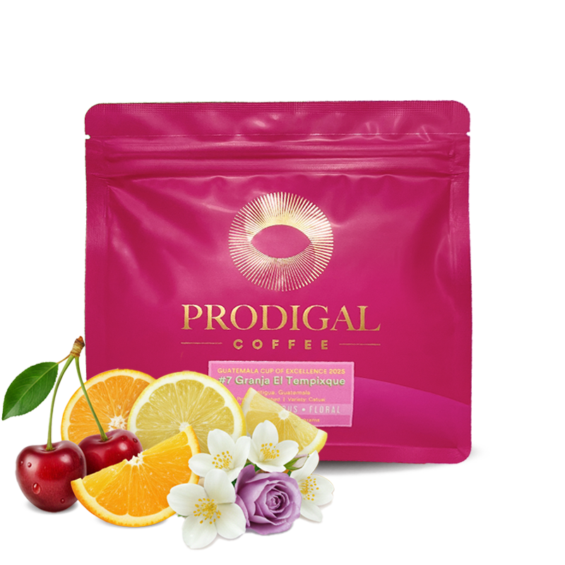 Specialty coffee Prodigal Coffee Guatemala GRANJA EL TEMPIXQUE - Cup of Excellence #7