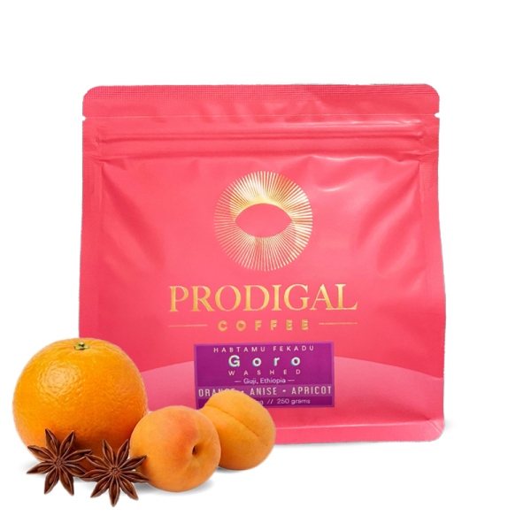 Specialty coffee Prodigal Coffee Ethiopia GORO