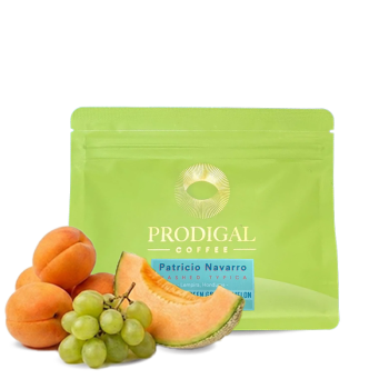 Honduras PATRICIO NAVARRO - 150g - Prodigal Coffee
