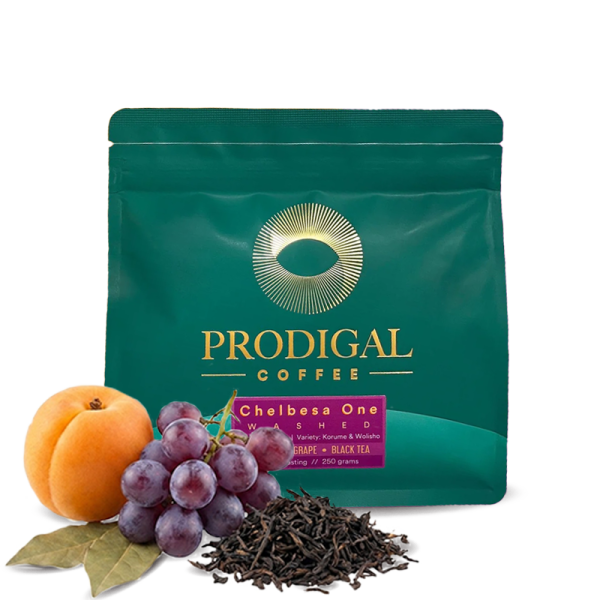Specialty coffee Prodigal Coffee Ethiopia CHELBESA ONE