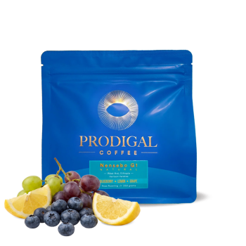 Ethiopia NENSEBO G1 - Prodigal Coffee