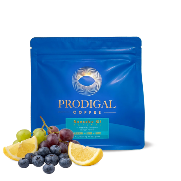 Specialty coffee Prodigal Coffee Ethiopia NENSEBO G1