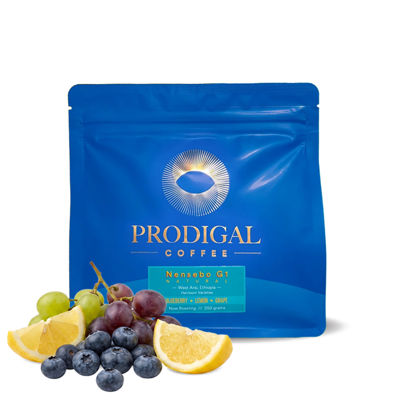 Specialty coffee Prodigal Coffee Ethiopia NENSEBO G1