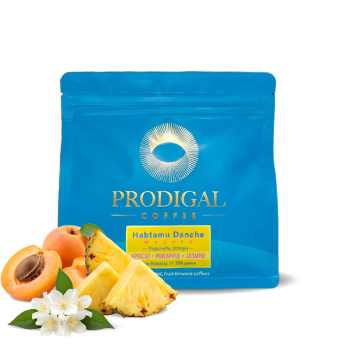 Ethiopia HABTAMU DANCHE - Prodigal Coffee