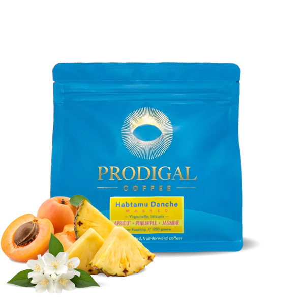 Specialty coffee Prodigal Coffee Ethiopia HABTAMU DANCHE