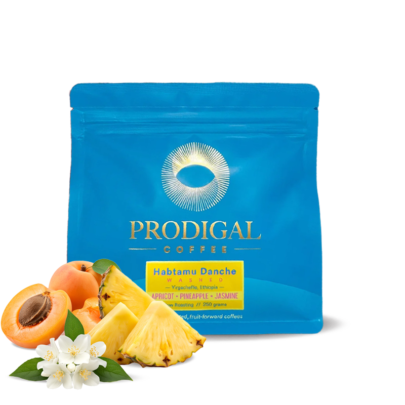 Specialty coffee Prodigal Coffee Ethiopia HABTAMU DANCHE