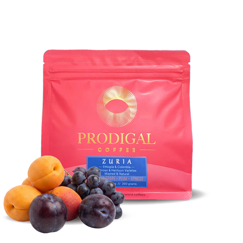 Specialty coffee Prodigal Coffee ZURIA BLEND