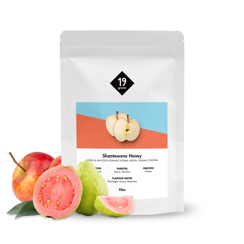 Specialty coffee 19grams coffee Ethiopia SHANTAWENE HONEY - filter