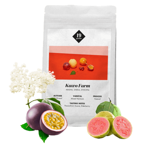 Specialty coffee 19grams coffee Etiopie KAWO FARM