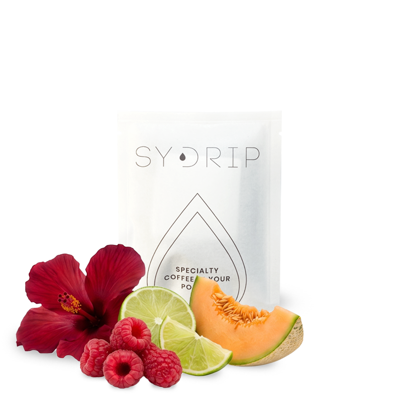 Specialty coffee Sydrip Colombia EFREN ECHEVERRI - drip bag - 1 pc