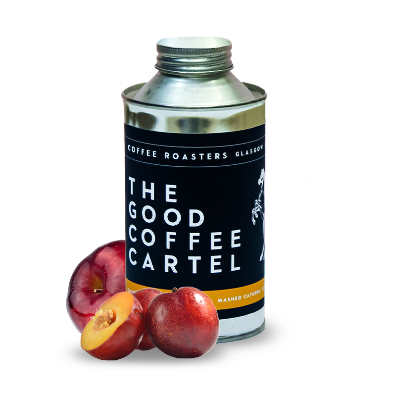 Specialty coffee The Good Coffee Cartel Guatemala SAN FLORENCE