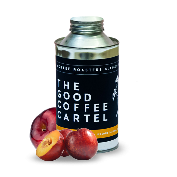 Specialty coffee The Good Coffee Cartel Guatemala SAN FLORENCE