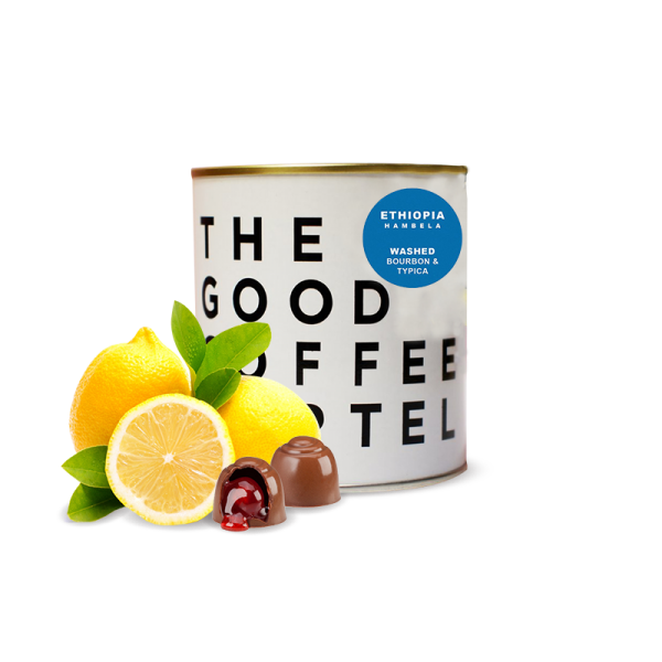 Specialty coffee The Good Coffee Cartel Ethiopia HAMBELA