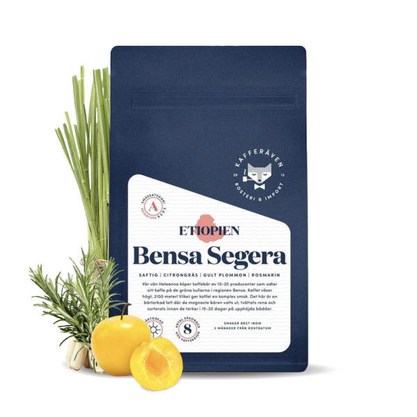 Specialty coffee  Kafferäven Per Nordby BENS SEGER's Ethiopia