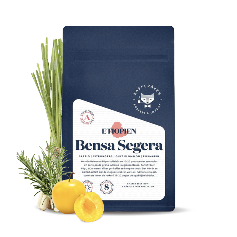 Specialty coffee  Kafferäven Per Nordby BENS SEGER's Ethiopia
