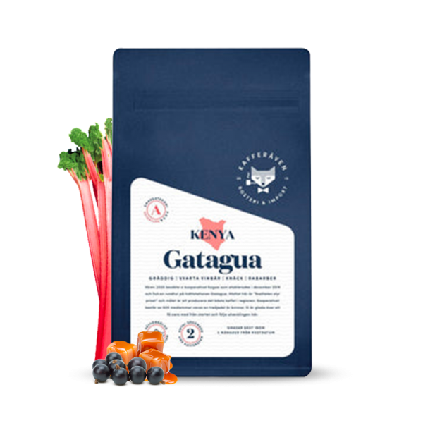 Specialty coffee  Kafferäven Per Nordby Kenya GATAGUA